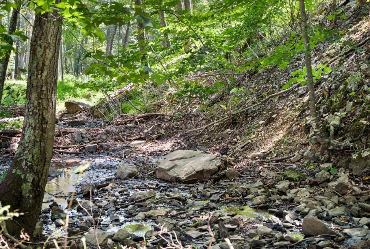 River Access W Hot Tub, Grill, Wifi, & Fire Pit! Lost City Exteriör bild